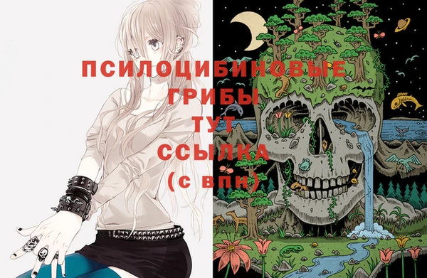 a pvp Володарск