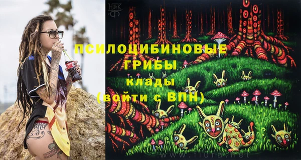 a pvp Володарск