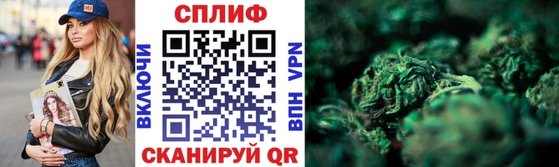 Бошки Шишки White Widow  Купить закладки  Выкса 